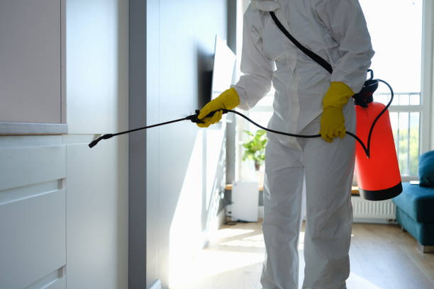 Zeeland, MI Mold Removal Company