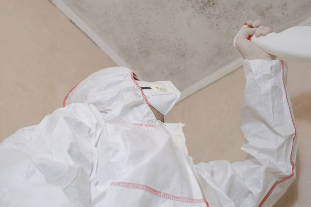 Best Commercial Mold Removal  in Zeeland, MI